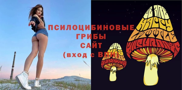 альфа пвп Покачи