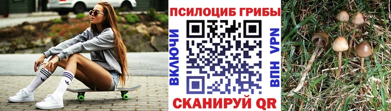 блэк спрут онион  Белый  Галлюциногенные грибы мицелий 